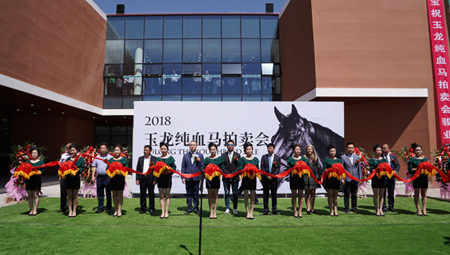 山西玉龍投資集團(tuán)有限公司